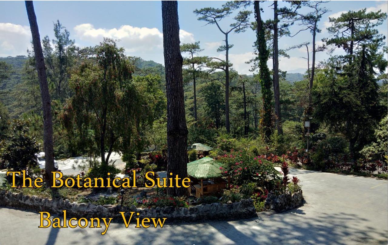 Log Cabin Hotel - Safari Lodge Baguio Baguio City Екстер'єр фото